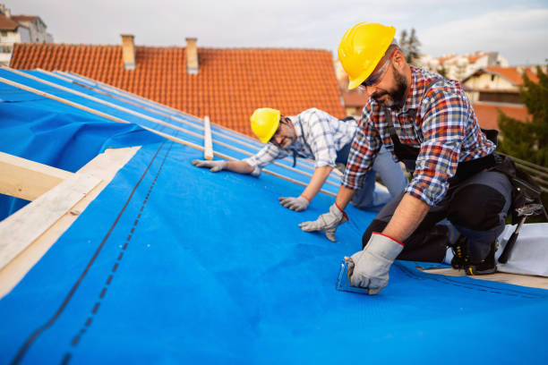 Best Storm Damage Roof Repair  in Kronenwetter, WI